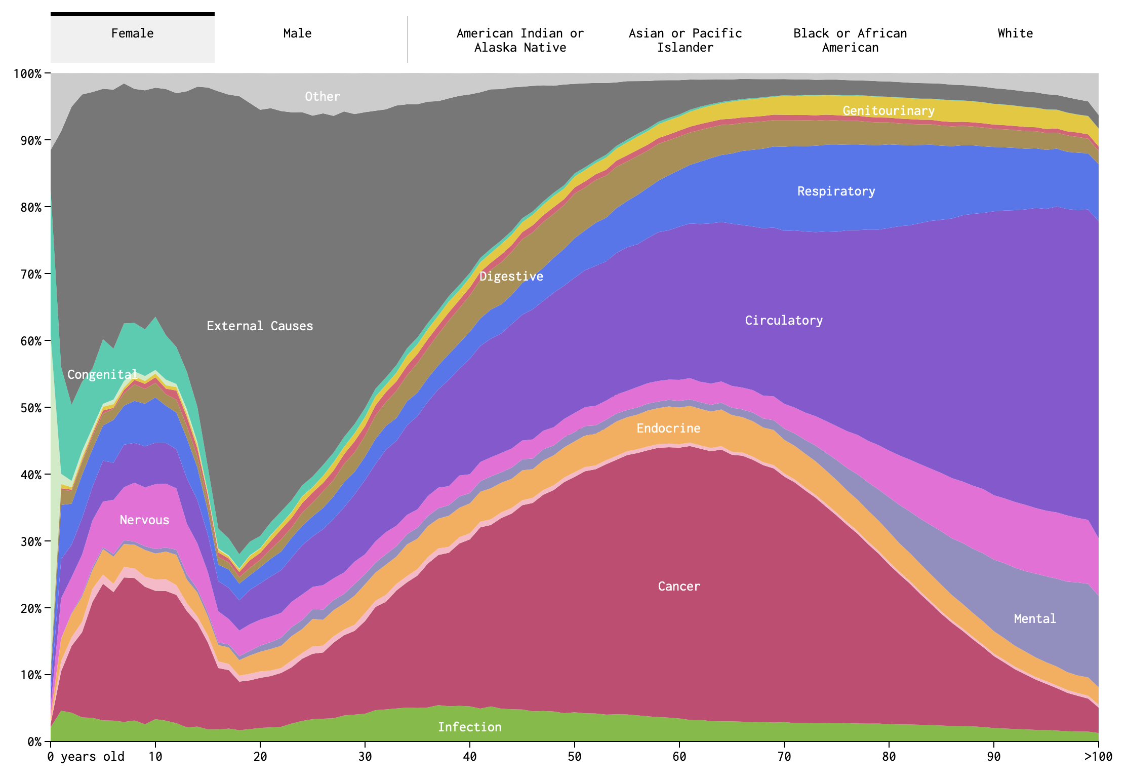 Screenshot of Causes of Death visualization